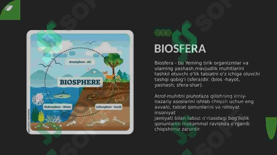 Biosferada moddalar va energiya aylanishi 3