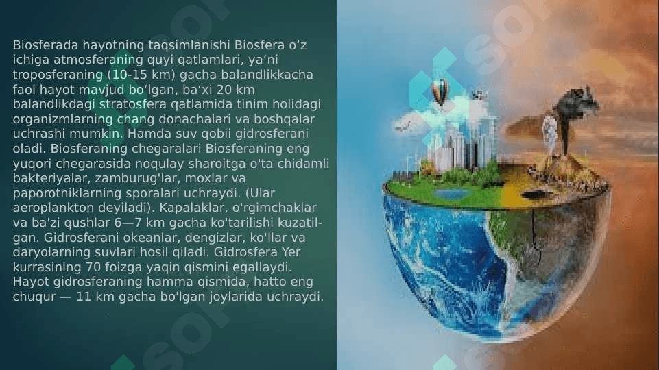 Biosferada moddalar va energiya aylanishi 4