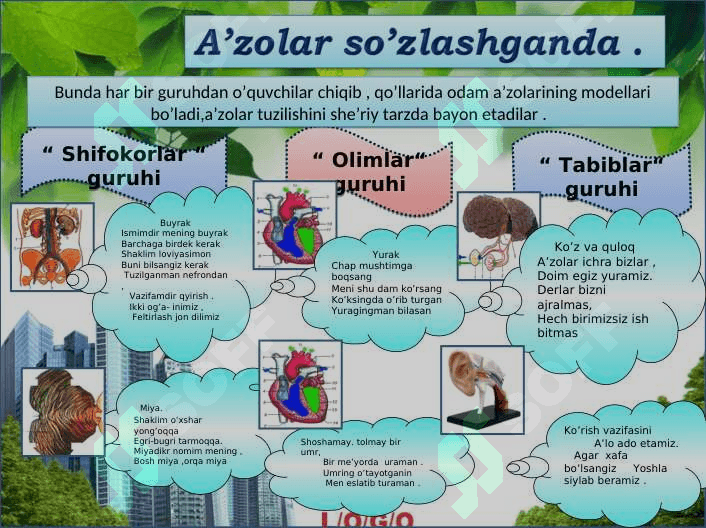 Nafas olish  organlarining tuzilishi. 7