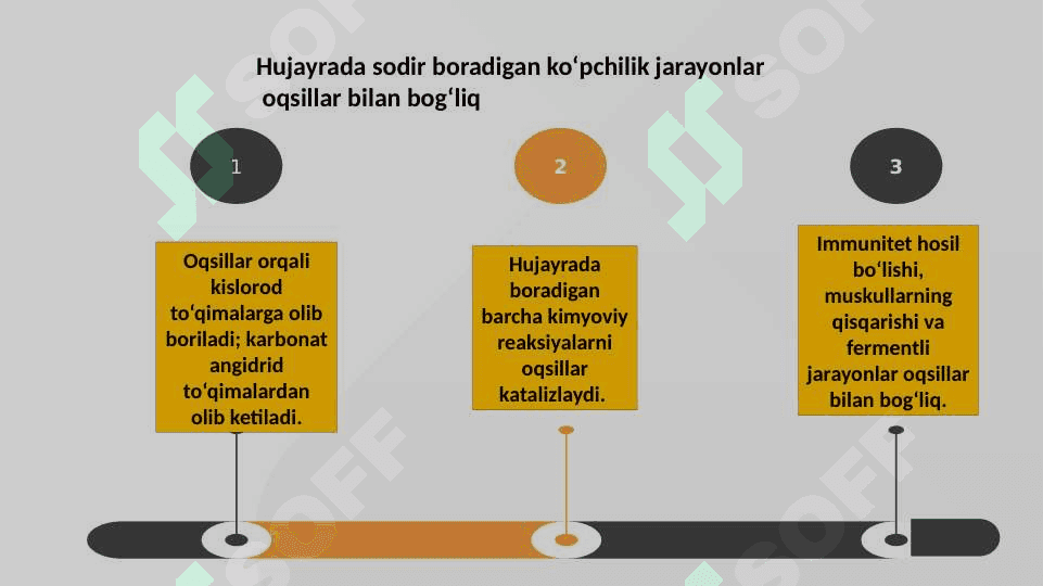 Oqsillar, karbonsuvlar va yog‘lar almashinuvi 3