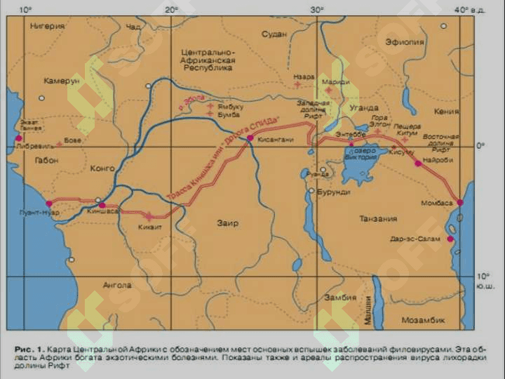 Ebola, Lassa, viruslari , kasallik patogenezi , laborator tashhisi. 4