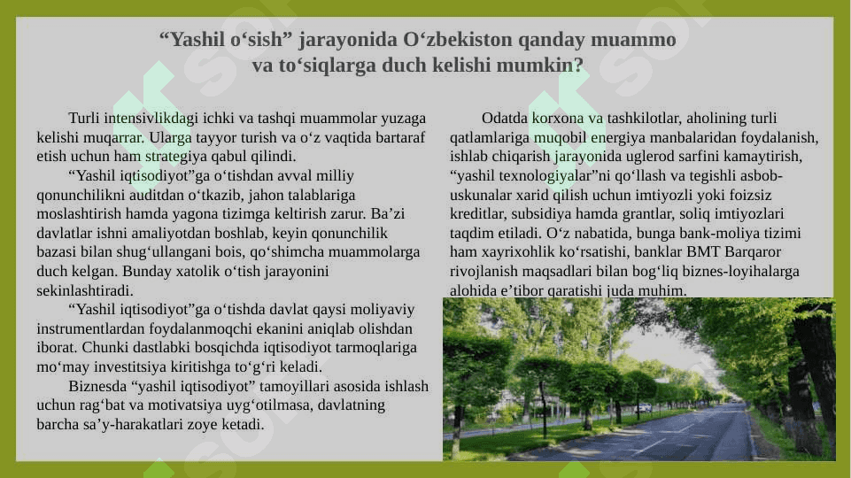O‘zbekiston Respublikasida “Yashil iqtisodiyot”ni rivojlantirish strategiyasining ustuvor yo‘nalishlari 3