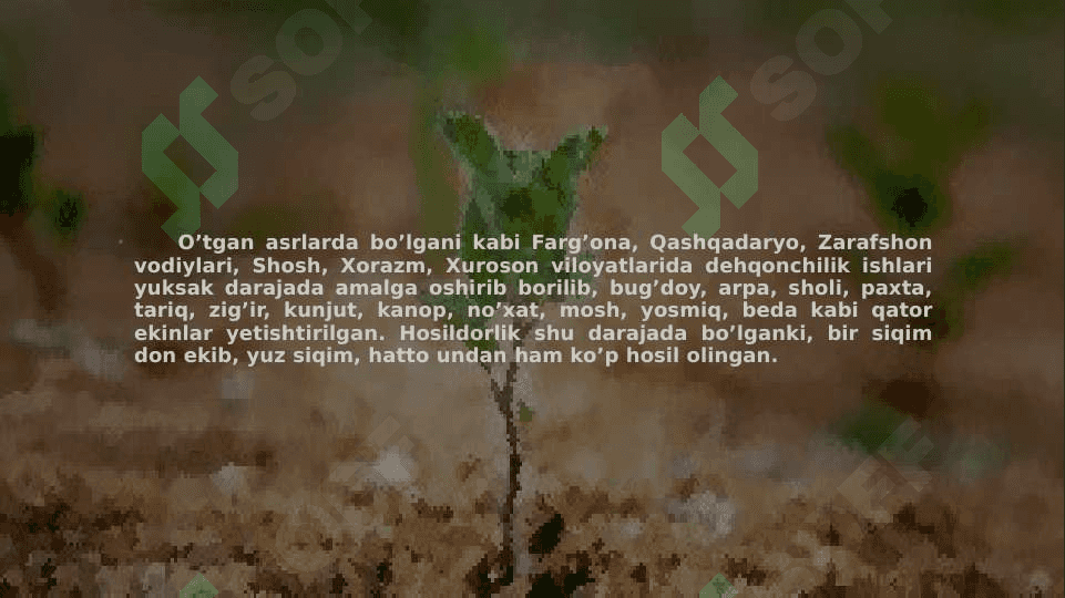 Somoniylar sulolasida davlat boshqaruvi shakli haqida tushuncha 8