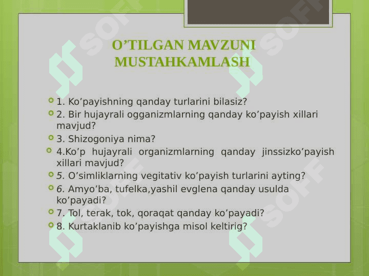 JINSIY KO’PAYISH 3