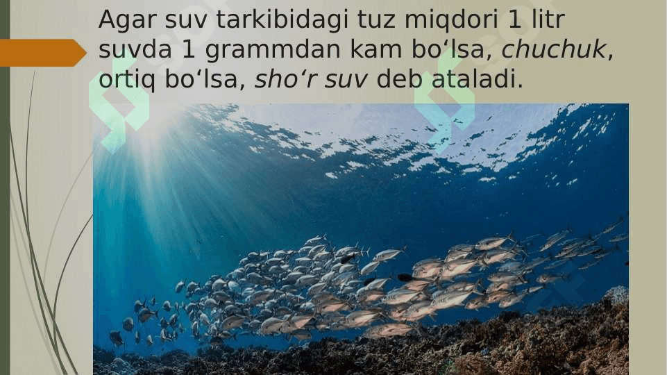 7-sinf. Geografiya. Okean suvining xususiyatlari 2