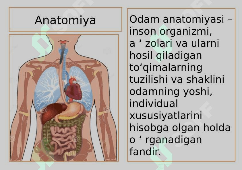 Tibbiyot fanining rivojlanish tarixi 6