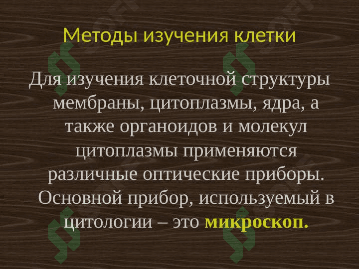 Цитология. Клеточная теория 4