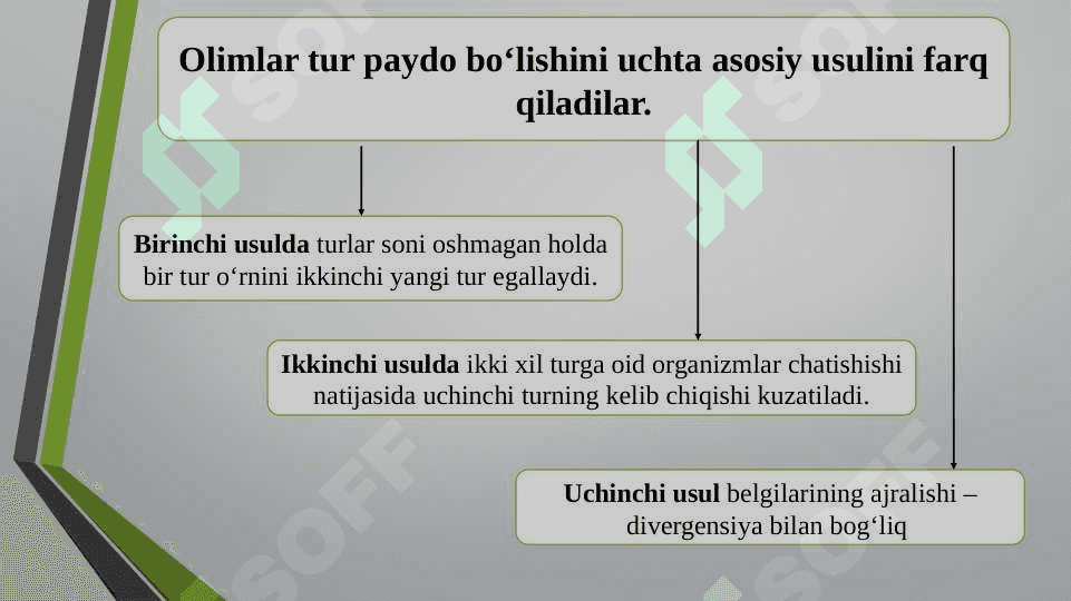 Turlarning paydo bo`lishi 3