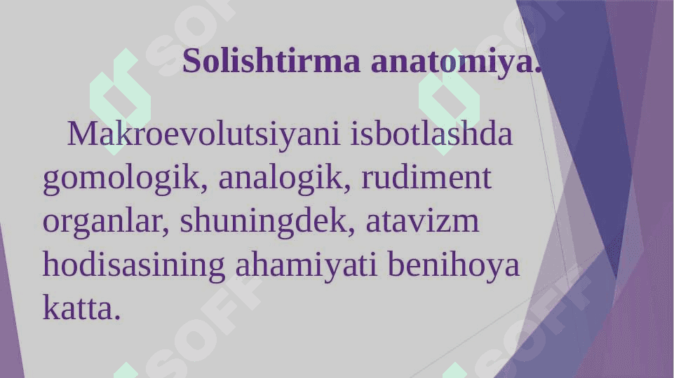 Evolyutsiyani isbotlashda solishtirma anatomiya, poleontologiya fanlari dalillari 4