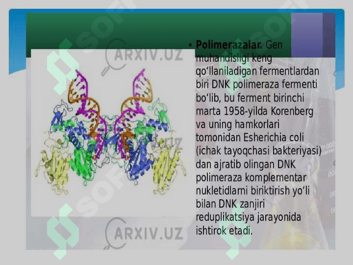 Fermentlar 3