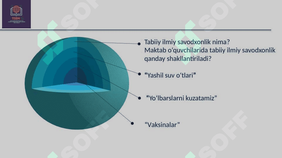 Tabiiy fanlar bo‘yicha savodxonlik  ( Seminar) 2