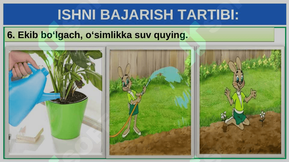 XONA O‘SIMLIKLARINI EKISH VA KO‘CHIRIB O‘TKAZISH 8