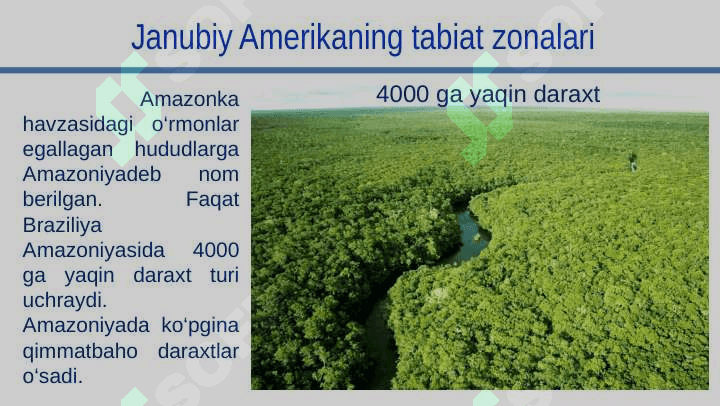 JANUBIY AMERIKANING TABIAT ZONALARI VA BALANDLIK MINTAQALARI 6