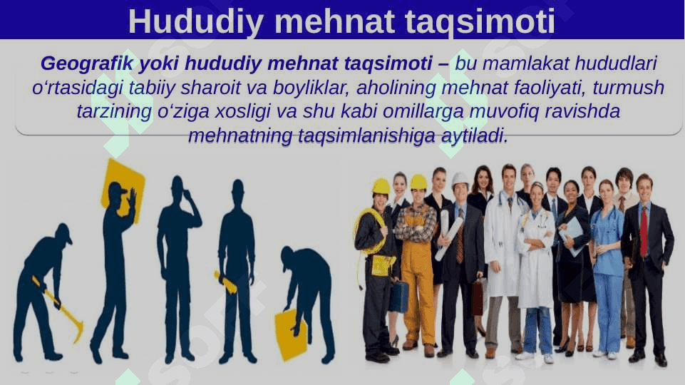 O‘zbekiston iqtisodiyotini hududiy tashkil etish. 2