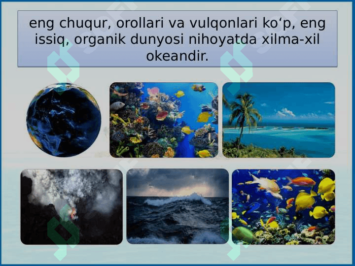 Tinch okean 4