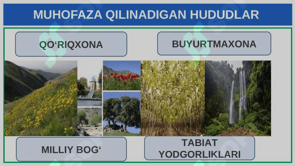 TABIATNI MUHOFAZA QILISH 3