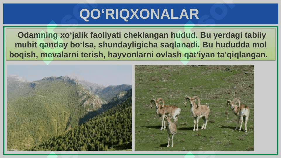 TABIATNI MUHOFAZA QILISH 4