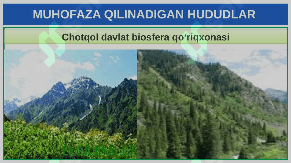 TABIATNI MUHOFAZA QILISH 5