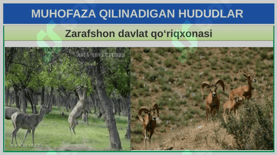 TABIATNI MUHOFAZA QILISH 8