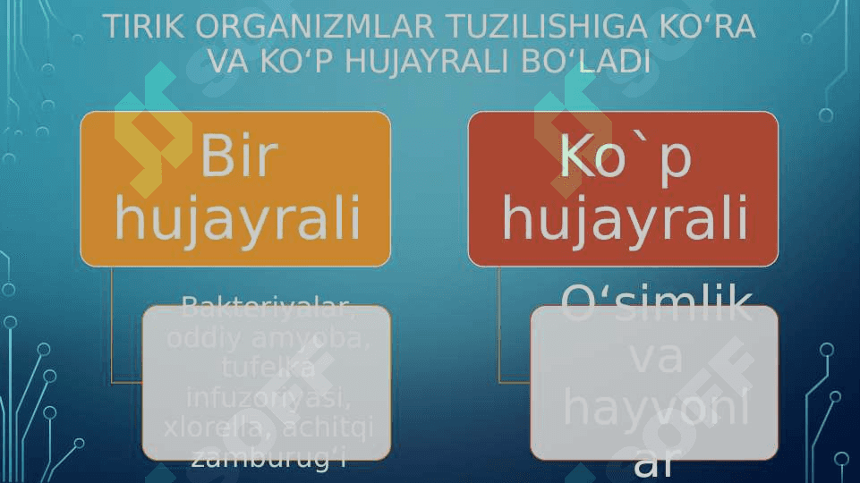 TIRIK ORGANIZMLARNING TUZILISHI 3