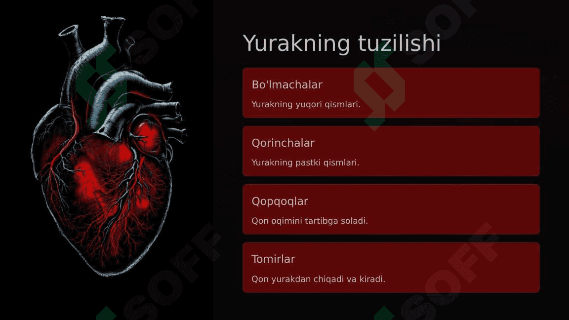 Qon aylanishi tizimi 5