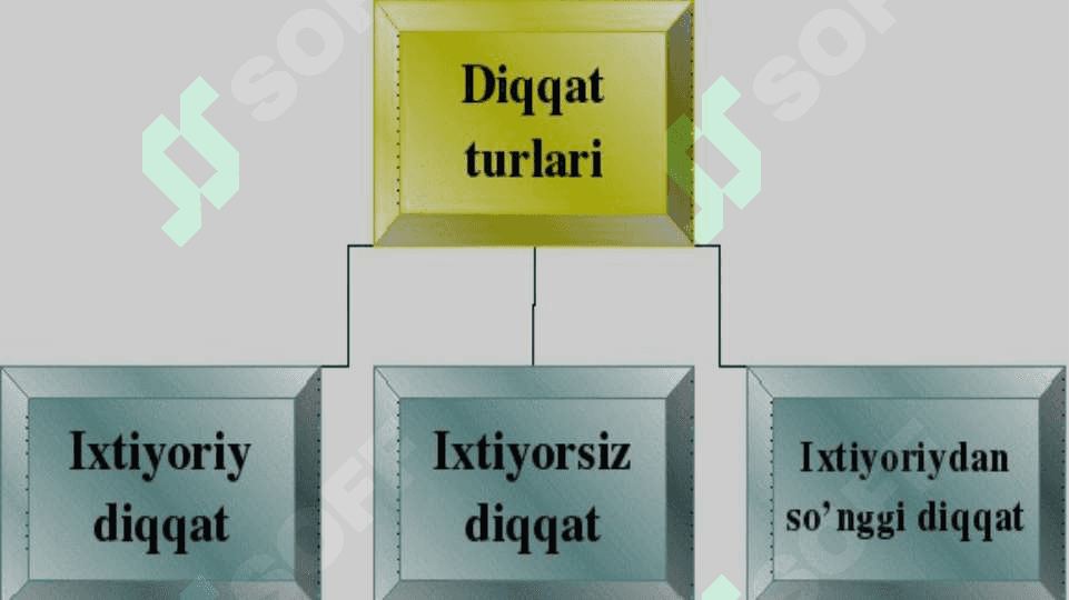 Diqqat va sezgi 7