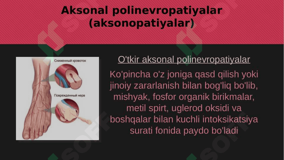 Elektromiografiya, Elektrokardiografiya, Elektrookulografiya 6