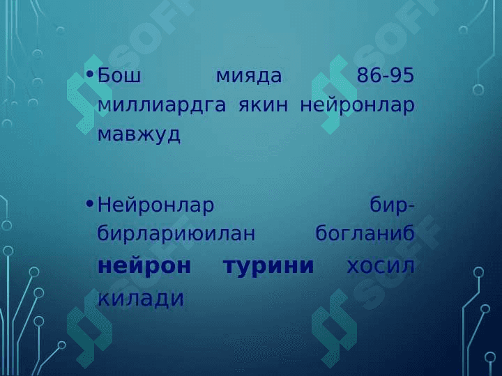 Нейрон тўри 2