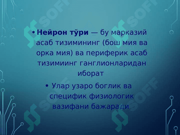 Нейрон тўри 4