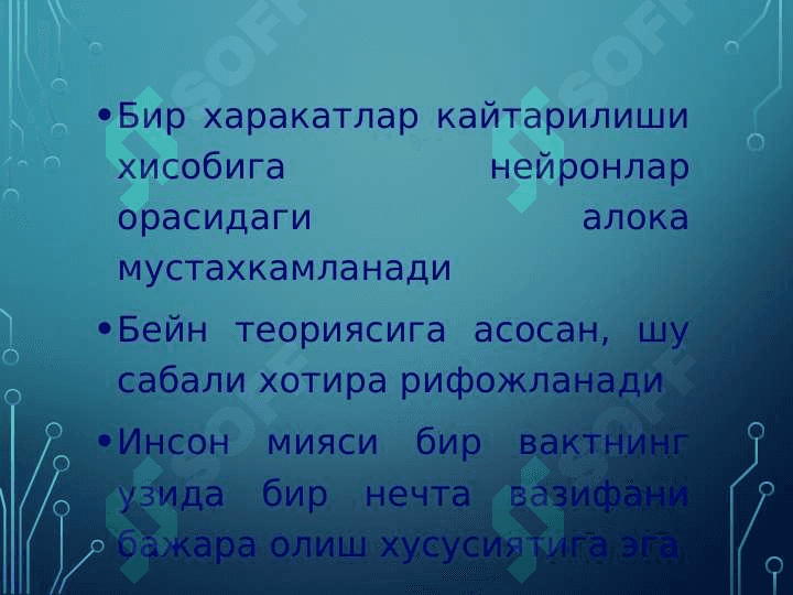 Нейрон тўри 6
