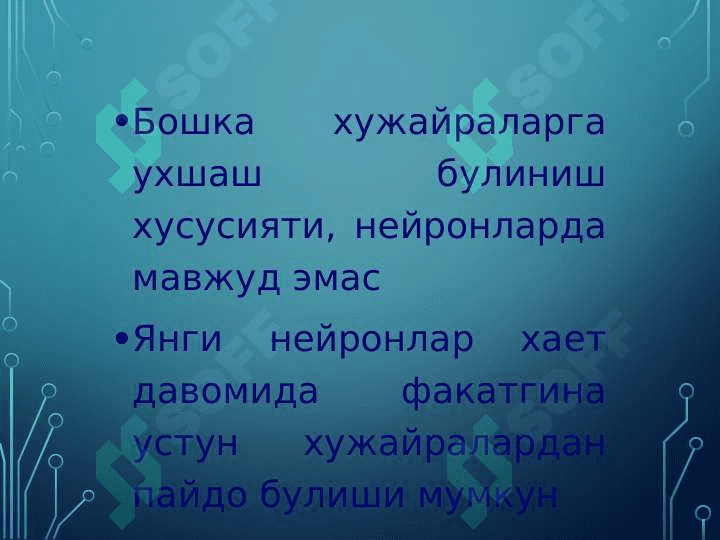 Нейрон тўри 8