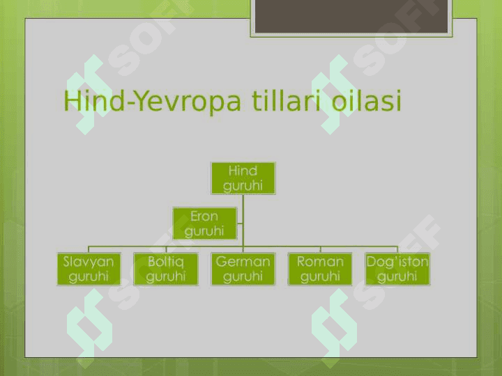 Dunyo tillari va tillar tasnifi 7