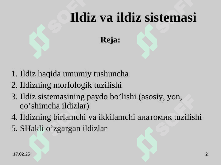 ldiz va uning vazifasi,  ildizning turlari va uning ahamiyati 2