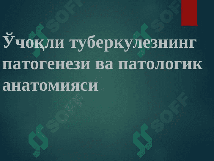 O`PKANING O`CHOQLI YALLIG`LANGAN TUBERKULOZI VA O`PKA TUBERKULEMASI 2