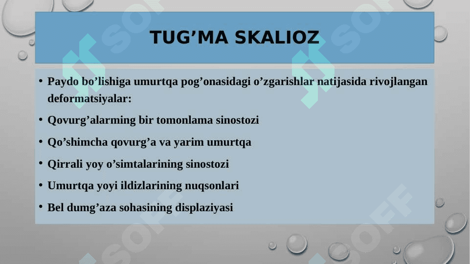 SKALIOZ 6