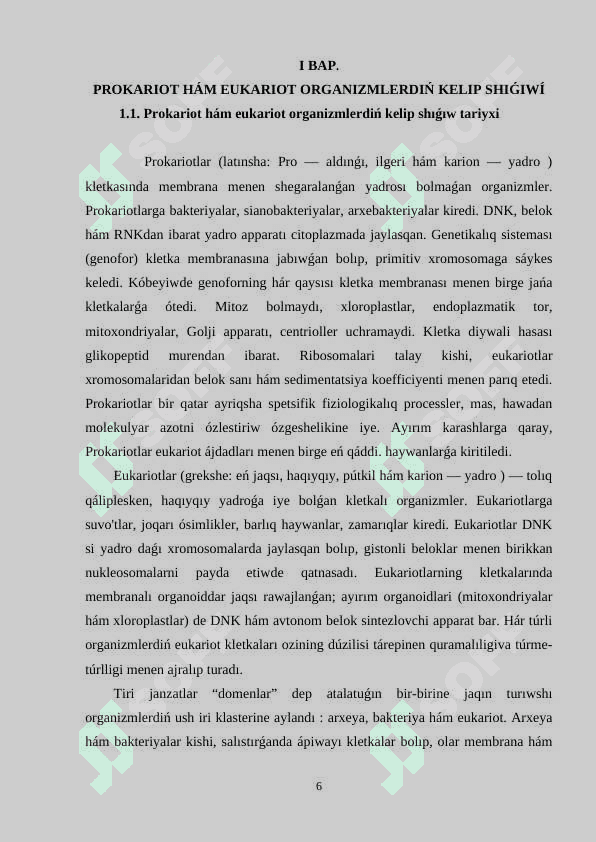 #KURS JUMISI 6
