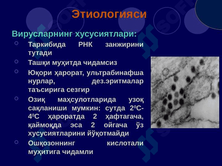 Кана энцефалити 4