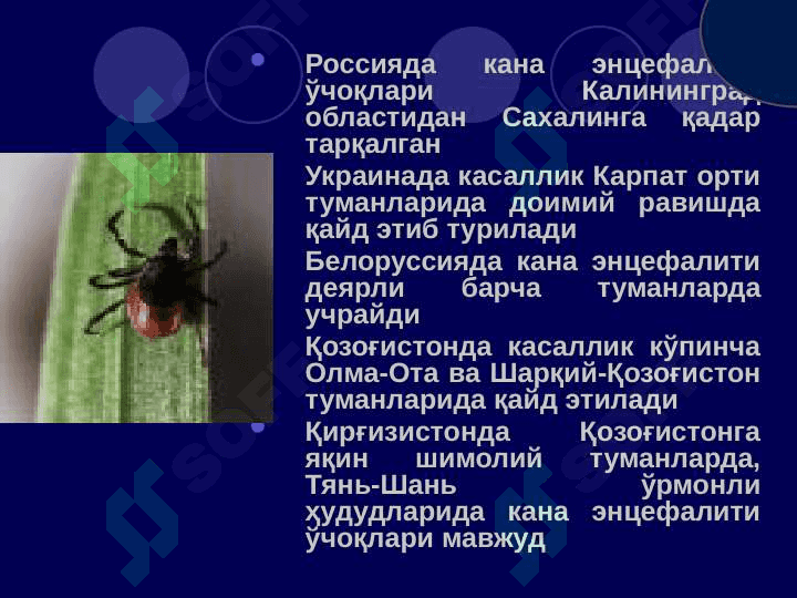 Кана энцефалити 6