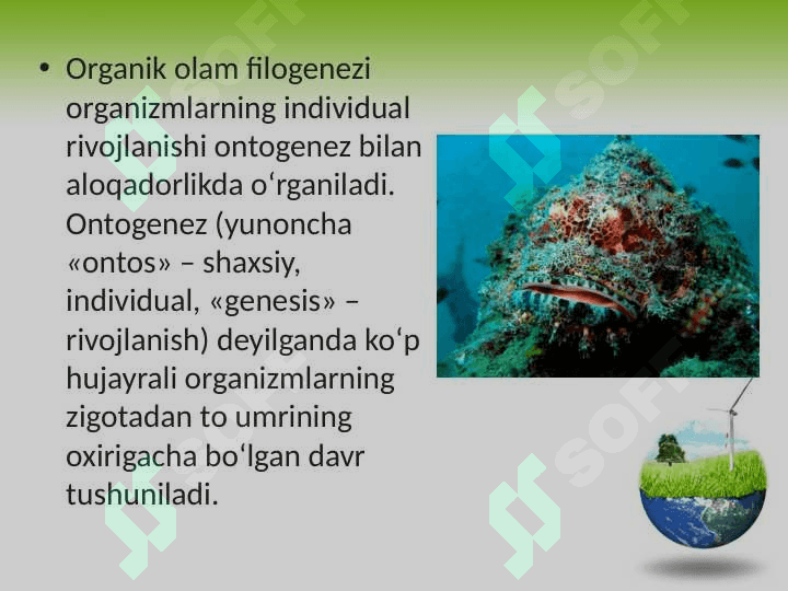 Organik olam filogenezining umumiy tavsifi 3