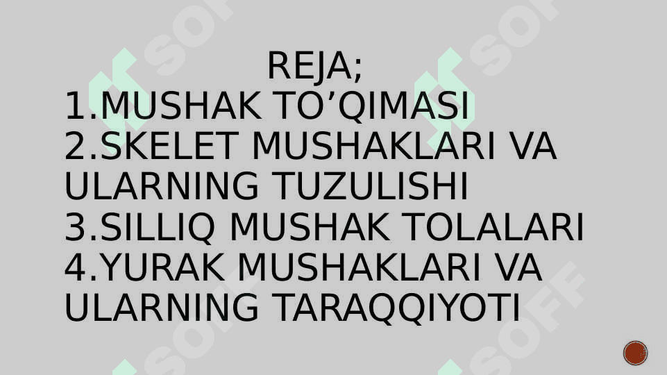 Mushak to‘qimasi 2