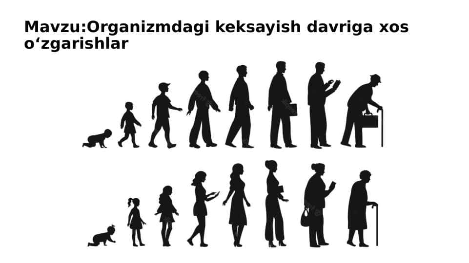 Organizmdagi keksayish davriga xos oʻzgarishlar