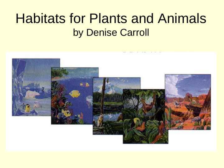 Habitats for Plants and Animalsby Denise Carroll