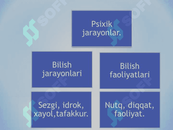 Bilish jarayonlari va psixodiagnostika 4