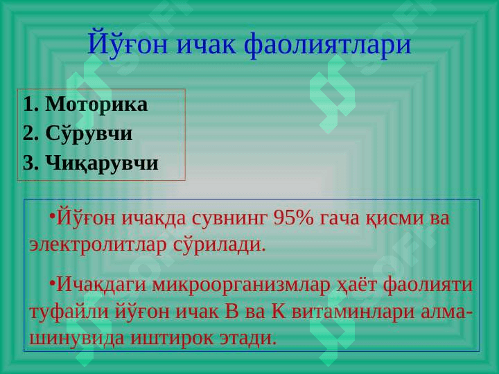 Yog`on va to`g`ri ichak hirurgik kasalliklari .  Йўғон ва тўғри ичак хирургик касалликлари 5