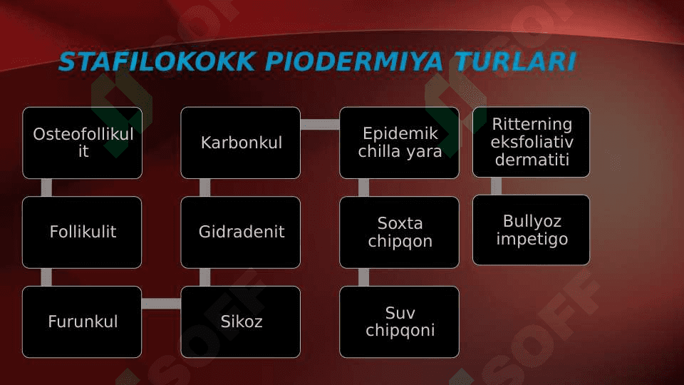 Terining yiringli kasalliklari . Piodermiyalarni umumiy kechishi . Stafilodermiyalar , oddiy husnbuzar . Streptodermiyalar . Bolalarda uchraydigan stafilodermiyalar . Piodermiyalarni davolash 7