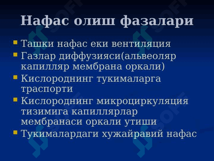 O`tkir zotiljam . УТКИР ЗОТИЛЖАМ 8