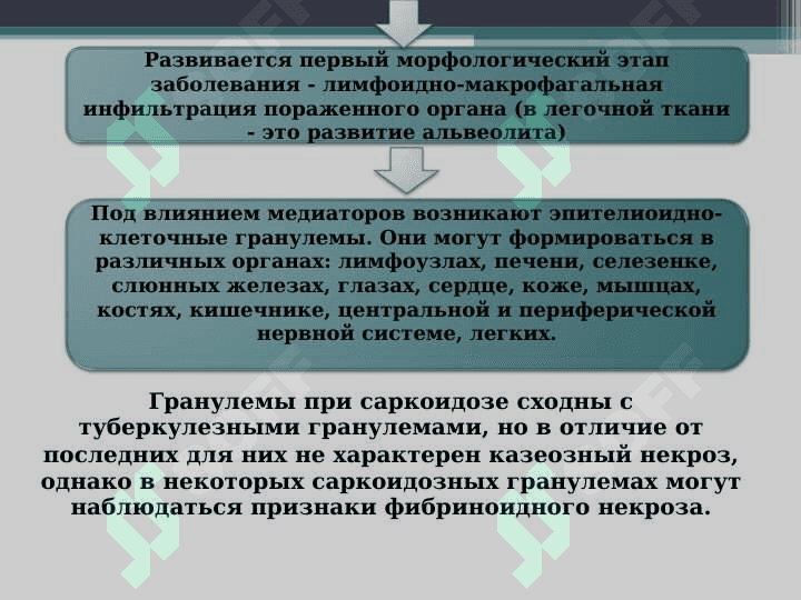 Sarkoidoz . Саркоидоз легких 6