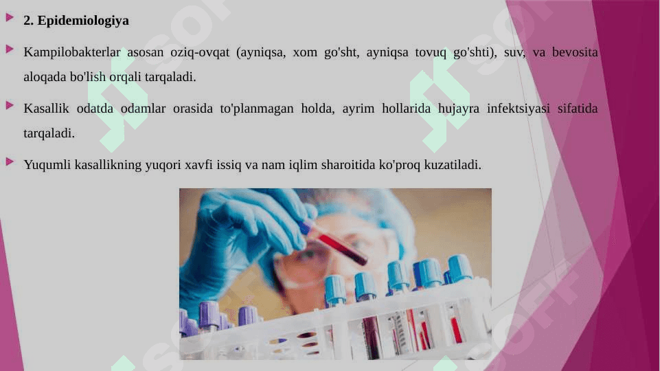 KAMPILOBAKTERIOZ ETIOLOGIYA EPIDIMIOLOGIYA KLINIKA DIAGNOSTIKA DAVOLASH 4
