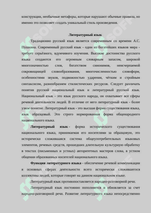 Речь и язык в контексте художественной речи и литературного языка 4