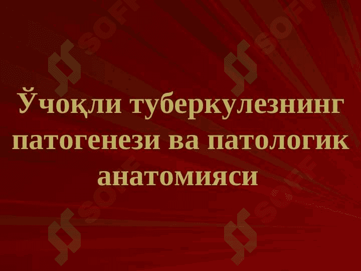 O`pkaning o`choqli , yalliglangan tuberkulyozi va o`pka tuberkulomasi 2